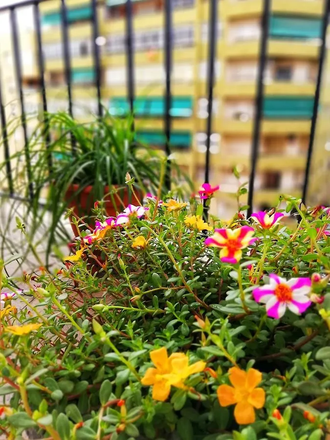 Apartmán Casa Princesa Huelin Màlaga Španělsko