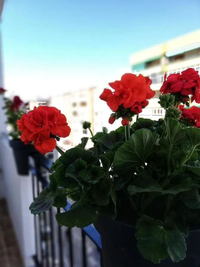 Apartmán Casa Princesa Huelin Màlaga